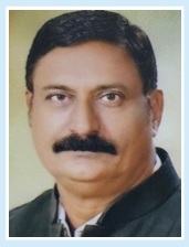 Director 3